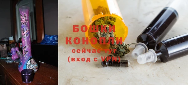 гидра Абаза