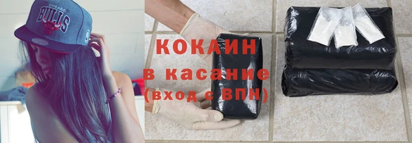 гидра Абаза