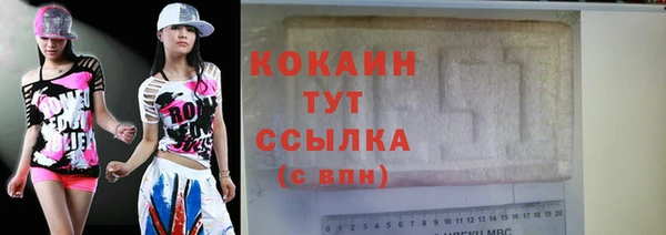 гидра Абаза