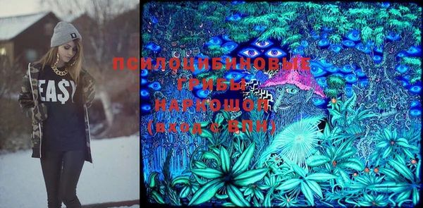 гидра Абаза