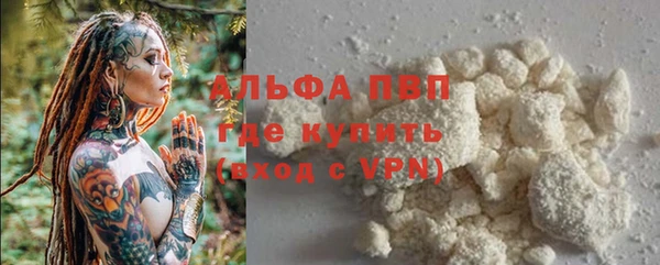 гидра Абаза