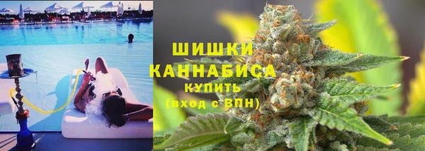 гидра Алексеевка