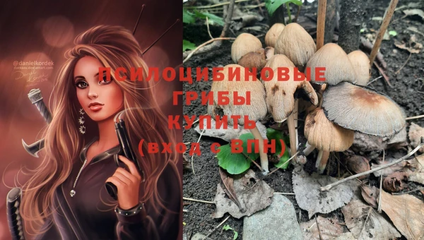 spice Няндома
