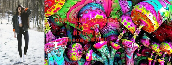 шишки Нягань