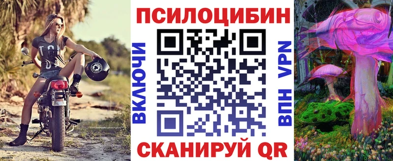 darknet как зайти  Нальчик  Галлюциногенные грибы мухоморы 